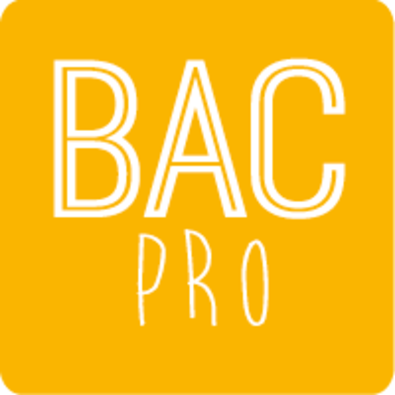 bac pro.png