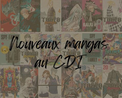 Nouveaux mangas au CDI(1).jpg